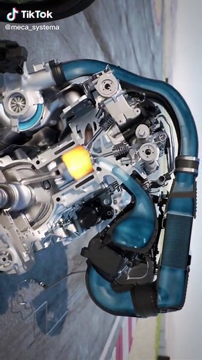 meca systema على TikTok