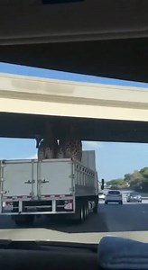 47K views · 168 reactions | គិចឬ អត់ មេ 朗朗 | Key Lock | Facebook