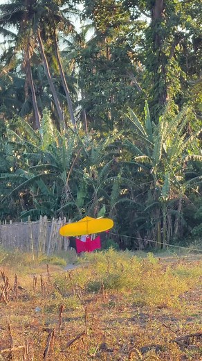 Dalwang Dipa: Saranggola Kite Flying