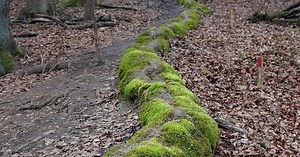 Diese 11 Orte in und um Coburg musst du gesehen haben: Die schönsten Ausflugsziele in der Region