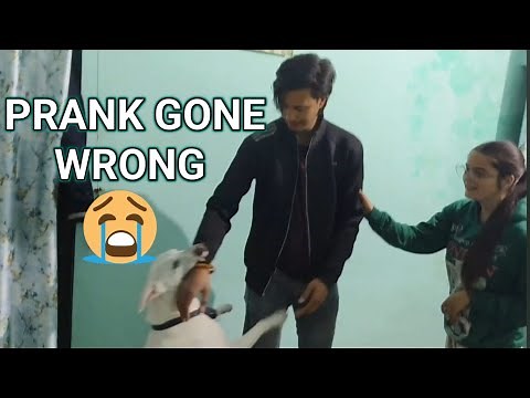 Prank Gone Wrong Dog Attack 😭😭