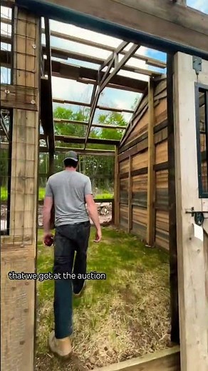 NEW Peacock 🦚 Aviary Build! #peacock #aviary #farmanimals