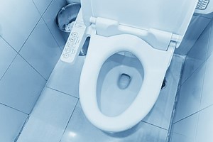 Japanese Toilet Seats Buyers Guide - Ross's Discount Home Centre