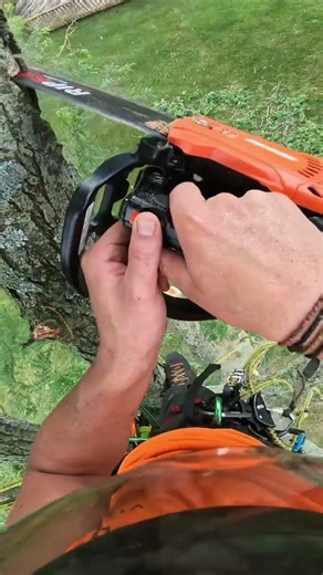 More of this locust tree, how good does that saw sound #treeservice #treework