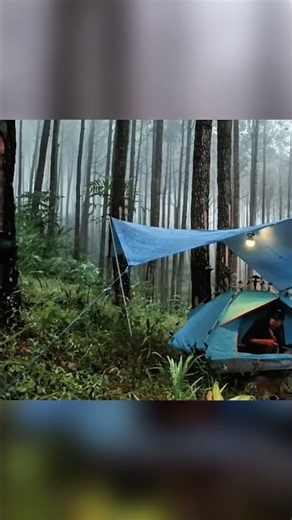 VERY COLD🥶 || solo camping in a foggy forest when it's raining heavily #solocamping #heavyrain #rain