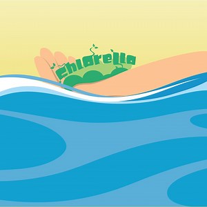 When it comes to Chlorella, we know what we’re talking about. Cherifer has been using CGF or Chlorella Growth Factor for more than 20 Tangkad Sagad years! | Cherifer