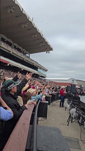 Calgary Stampede 2025