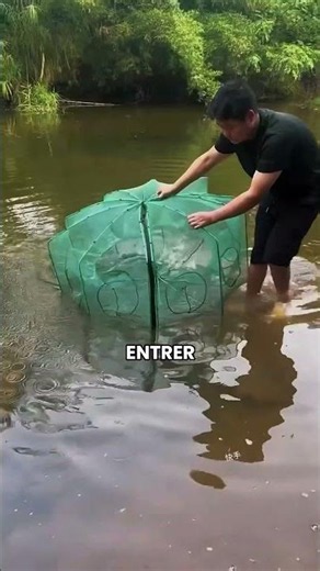 Why do dozens of fish trap themselves?