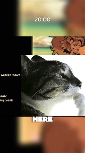H game review No Socks RPG #game