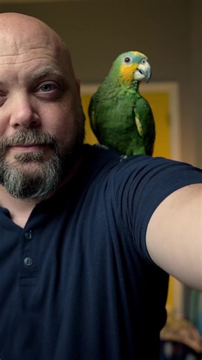 Zeb | BluePlanetPets 🦜 (@blueplanetpets)’s video of parrot flying away