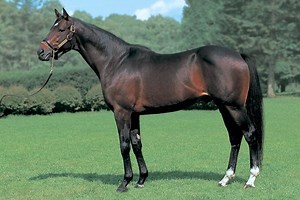 Neo Universe - Alchetron, The Free Social Encyclopedia