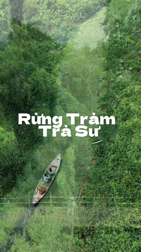 Khám phá tour Cần Thơ - Rừng Tràm Trà Sư trong ngày cùng Akoya nhé #akoyatravel #akoya #dulich #tour #rungtramtrasu #angiang #tourcantho
