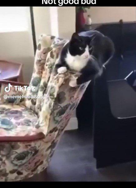 #fypagetiktok #fypage #fypシ #meme #foryou #fyp