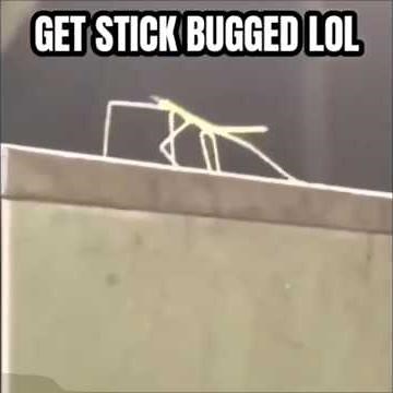 Get stick Bugged Lol (IN 60fps!)