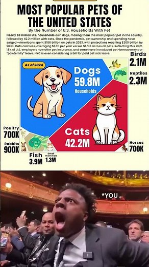 🐶🐱 Most Popular Pets in the United States | What Americans Love the Most #shorts #2025