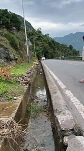 87K views · 37 reactions | Wow amazing 朗朗 samfe omen cool nice  | Udvi | Facebook