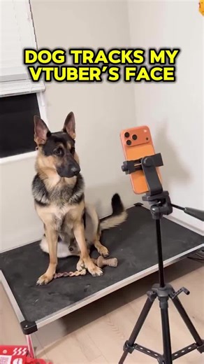 @thecodemiko letting her doggo use the model is hilarious 😂 #thecodemiko #vtuber #meme #fyp