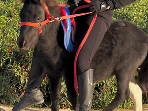 【MoMoRider】我的最新作品，快来一睹为快！_哔哩哔哩_bilibili