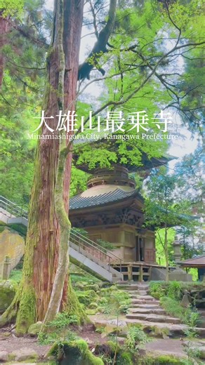 天狗の伝説で有名な神奈川の名刹「大雄山最乗寺」かなり広い敷地で驚きました。パワースポットとしても有名なようです。 Daihōzan Saijōji Temple, a famous temple in Kanagawa Prefecture known for its tengu (mythical creature) legends, surprised me with its incredibly spacious grounds. It also seems to be famous as a power spot. #パワースポット #天狗 #japantravel