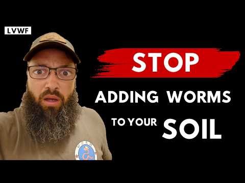 Should you be adding worms to your soil?