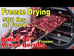Freeze Drying Your First 500 lbs of Food - Batch 15 - Mixed Berries, Frozen