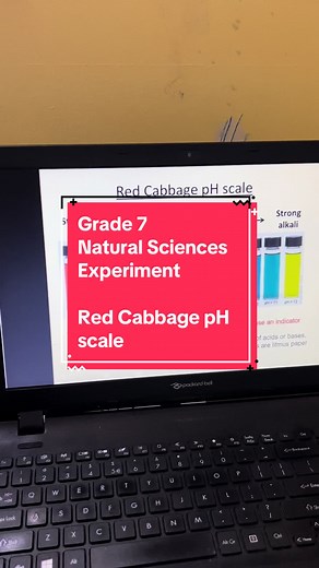 Grade 7 Natural Sciences Experiment Red Cabbage pH Scale #naturalsciences #redcabbage #phscale #grade7 #7thgrade