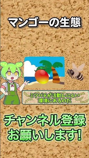 マンゴーの生態【ずんだもん解説】#shorts