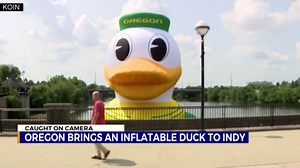Giant Oregon Duck inflatable hits Indiana river ahead of UO's Big 10 premier