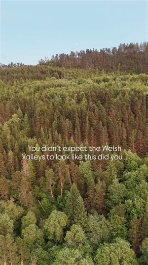 Wales, home to beautiful forestries from the South Wales valleys, to the deep heart of Mid & West Wales and up into the inspiring scenes of North Wales 🌳 Why not visit for the day and check it out yourself or even better stay at @pencelli_hotel which has luxurious rooms and great food just a 2 minute walk from the train station 🚉 #wales #forest #forestry #woods #southwales #valleys #valleylife #welshvalleys #visitwales #ukgreatshots #drone #dronewales #treorchy #cwmparc #rhondda #rhonddafawr #