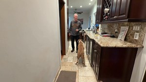 8.2K views · 1.3K reactions | Good Sunday Morning 12/28/25!! OMD!! We finally have internet, cable TV and wifi back- 20 hours later!! Last night I went for a ride in MY Brewstermibile to just get rid of the boredom! Today MY Mom has her computer back so we are going to work in the office to get caught up!! Everyone have a GREAT Sunday!! | Brewster | Facebook