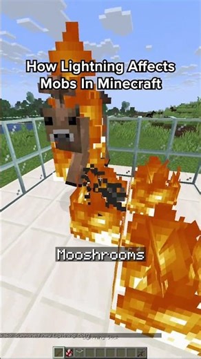 Lightning Does WHAT In Minecraft?