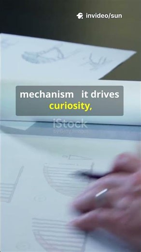 Why Do We Get Bored?