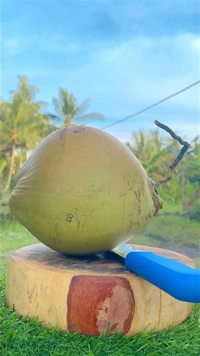 Coconut Cutting-My Excitement is Exploding #shorts