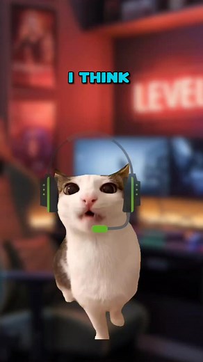 I think we have a Russian in our team (Cat Meme🐈) | Meowriarty