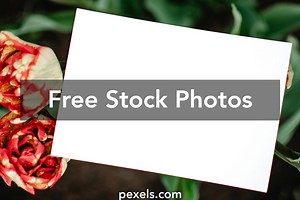 Free Plain Background For Photoshop Photos