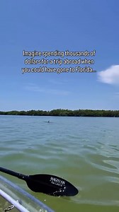 Imagine that…. 🛶💙🐬🌴😎 ✅ Clear kayaks ✅ Wildlife encounters ✅ Environmental education ✅ Beautiful scenery 📍 Shell Key Preserve | Get Up And Go Kayaking