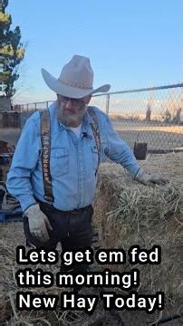Feed them this morning and going for new big bales today. Lets go! #ourlittletexasranch