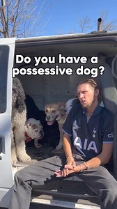 Do you have a possessive dog? Dog behavior 101.🐶 #dog #dogtraining #dogpsychology | Cherry Hoggs