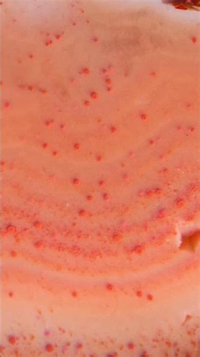 Macro Monday - Lake Superior Agate - LSAgates Photography by Lane Baguss