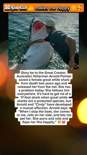 The Shark Who Refuses to Leave Her Rescuer 💙🦈.