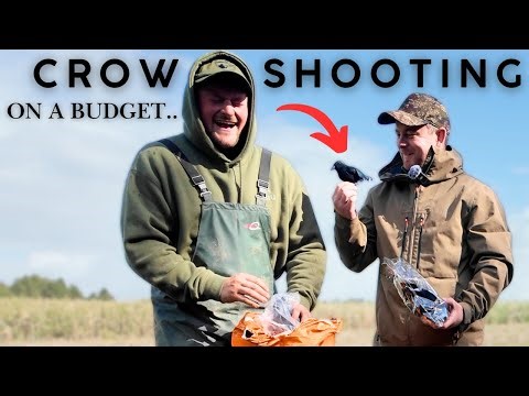 I SPENT £100.63p TO GO CROW SHOOTING.. AND IT WORKED!!