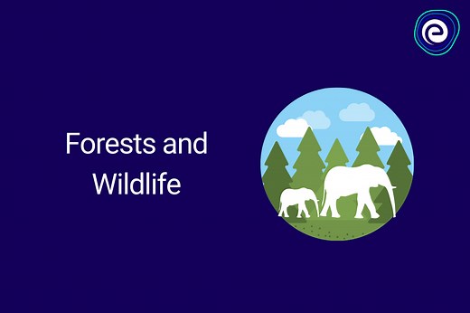 Forests and Wildlife - Meaning, Effects & Protection
