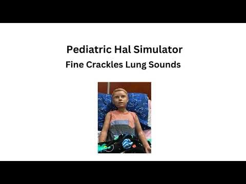 Pediatric Hal Simulator Fine Crackles Lung Sounds