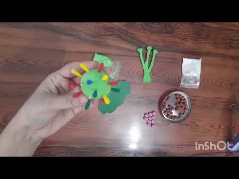 3D Model of Microorganisms, Types of Microorganisms, Model of Microbiology Bacteria, Viruses, Fungi