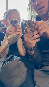 72K views · 3K reactions | Here we’ve got two of Australia’s most...