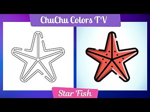 How to Draw a Starfish: Easy Step-by-Step Tutorial