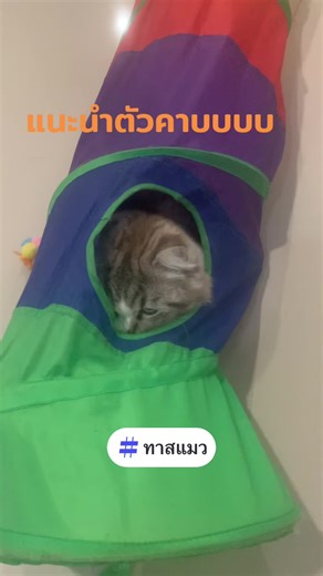 Artichar บน TikTok