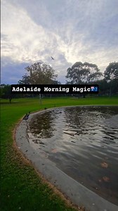 Adelaide SA Morning Beauty 🌅 | Peaceful Sunrise in Australia 🇦🇺 #Shorts