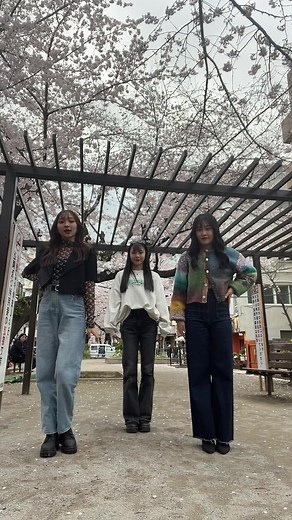 いんべーだああ#fyp #おすすめ