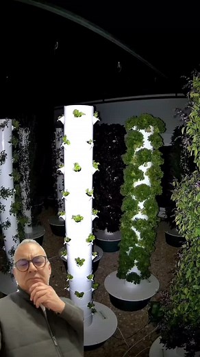 120 reactions · 27 shares | Agricultura do futuro? Já é presente! ...